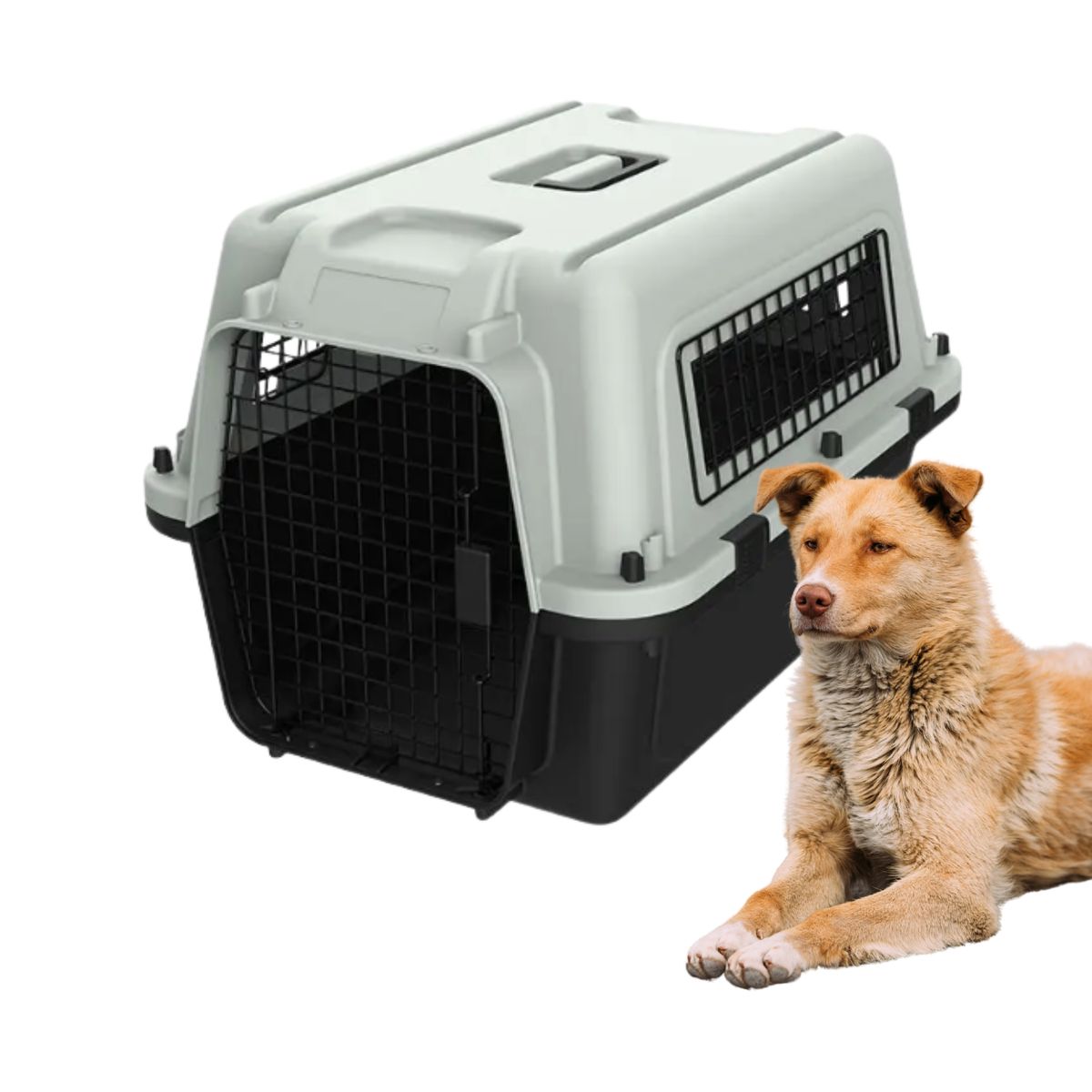 GENERICO - Jaula Canil transportadora perros medianos IATA 70x52x48 cm