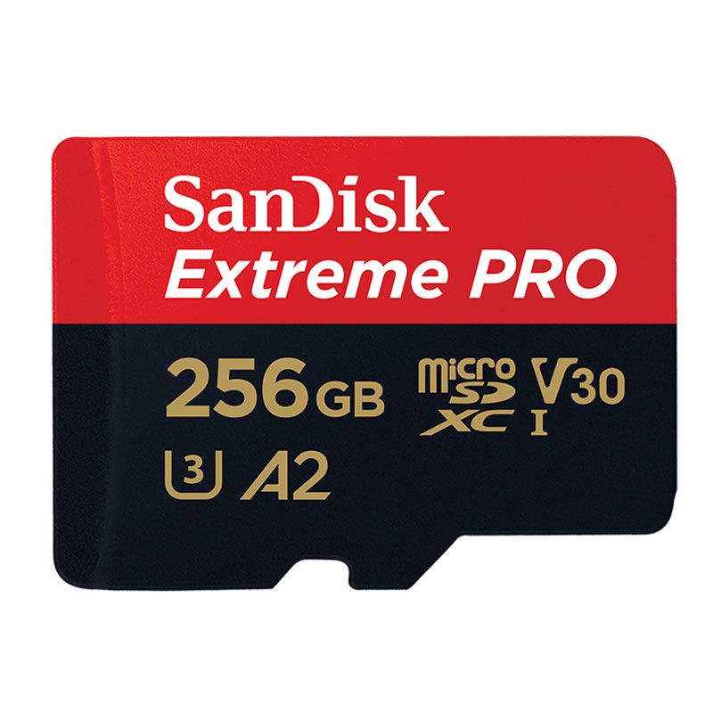 SANDISK - Tarjeta de Memoria Sandisk Micro SD Extreme Pro 256GB 170Mbs A2-