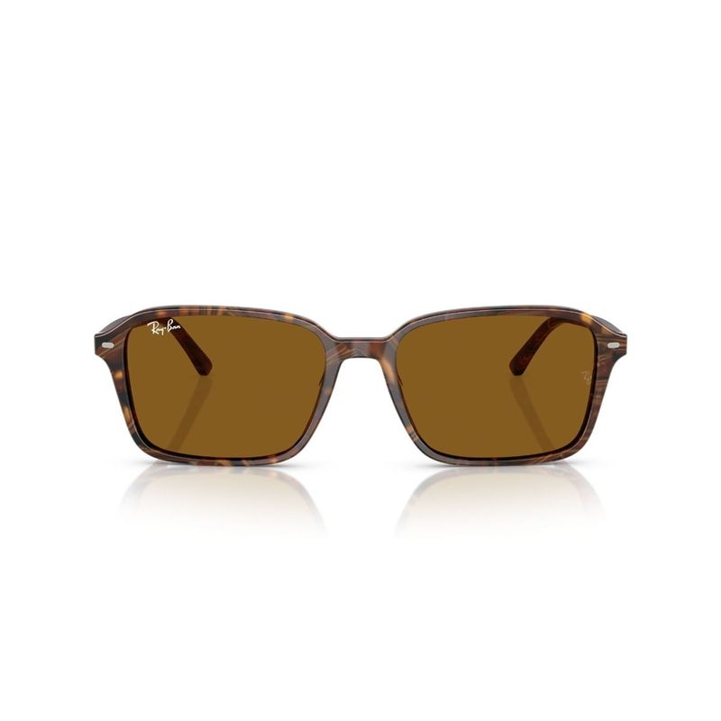 RAY BAN - Lentes de Sol RB2231 Raimond Marrón