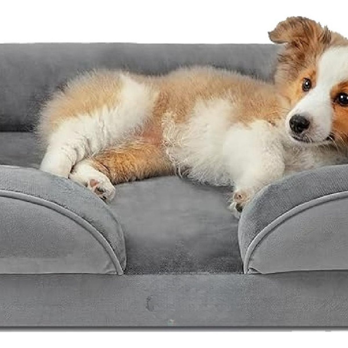 PELUDINES - Cama Ortopédica  89 Cm L Gris Gris