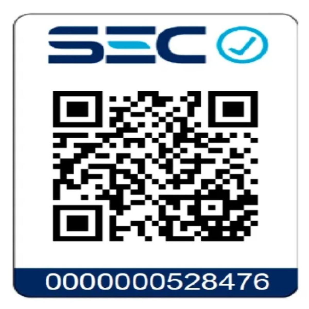 TEBISA - Campana Decorativa Pared 60 cm Venecia