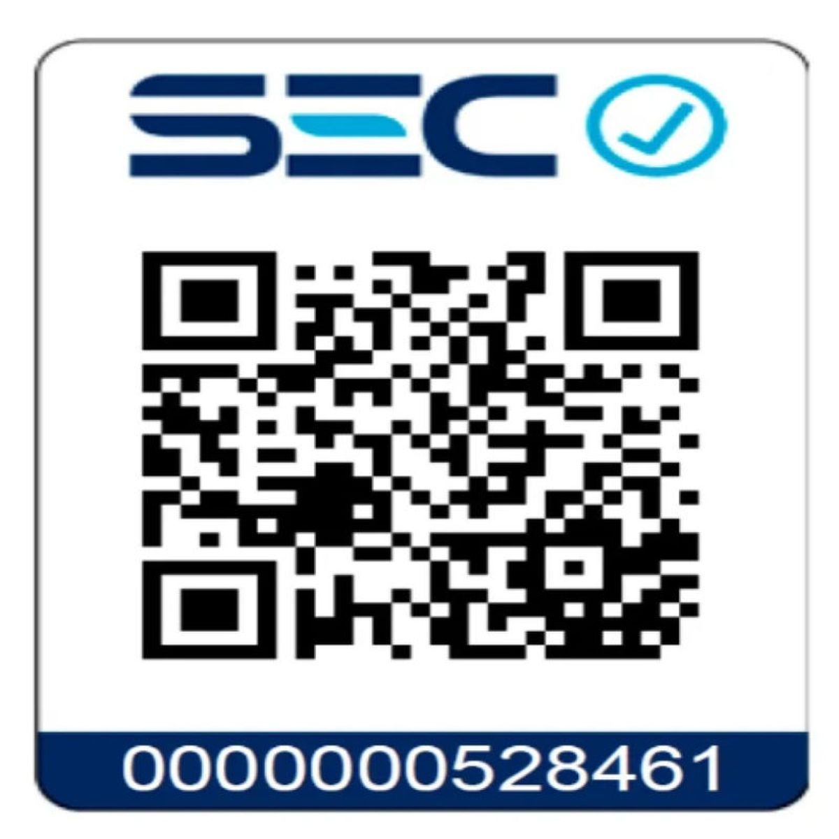 TEBISA - Campana Decorativa Pared 60 Cm Lucca