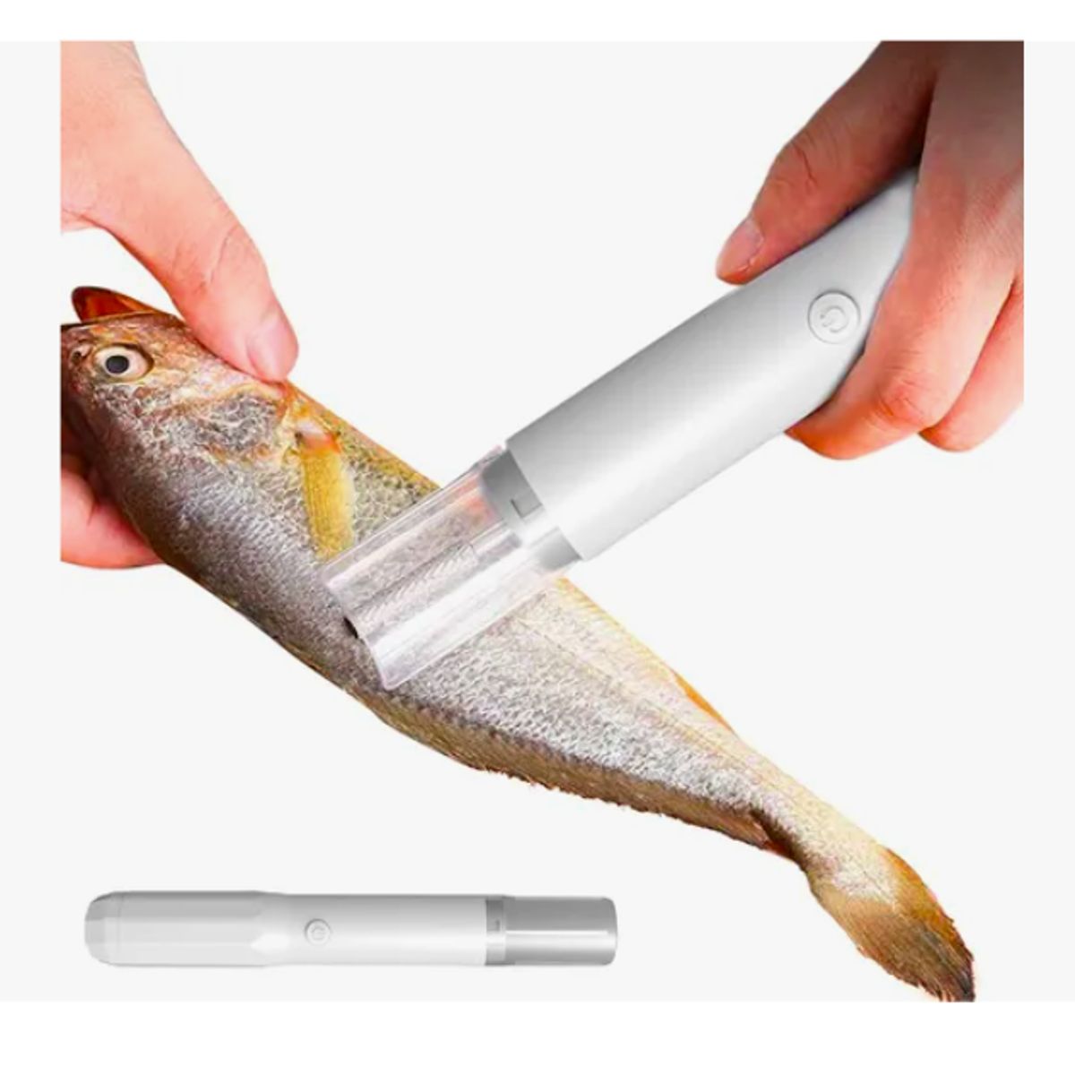 GENERICO - Descamador de Pescado Removedor de Escamas