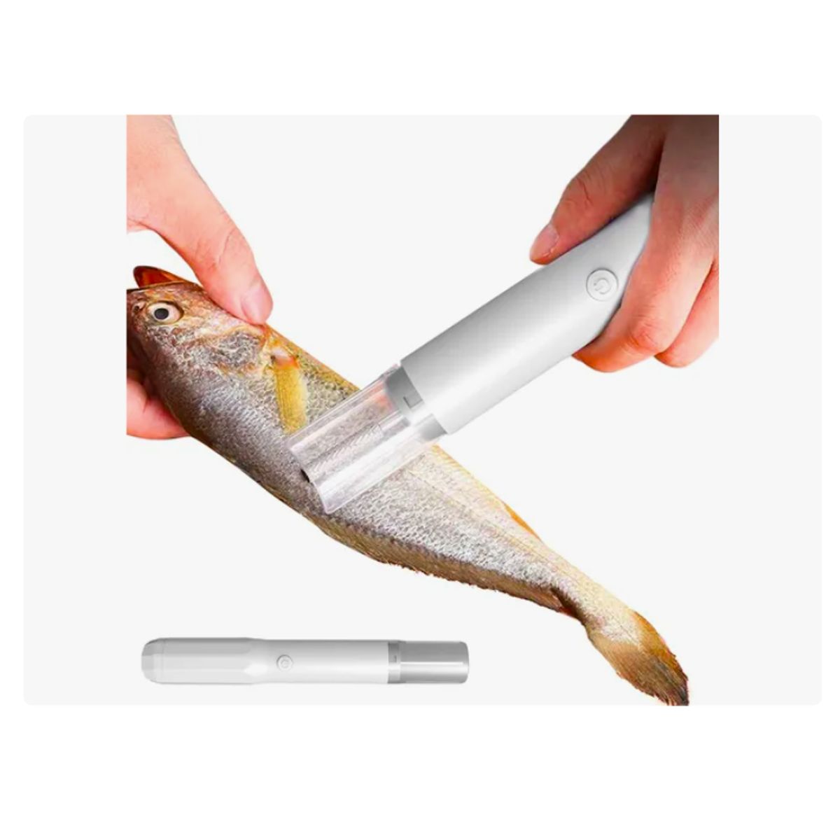 GENERICO - Descamador de Pescado Removedor de Escamas