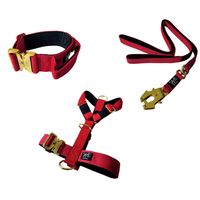 Collar Táctico + Arnes y Correa Para Perro - ROJO TALLA M
