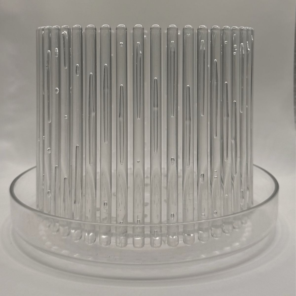 GENERICO - Macetero para Orquideas Orchitop M transparente