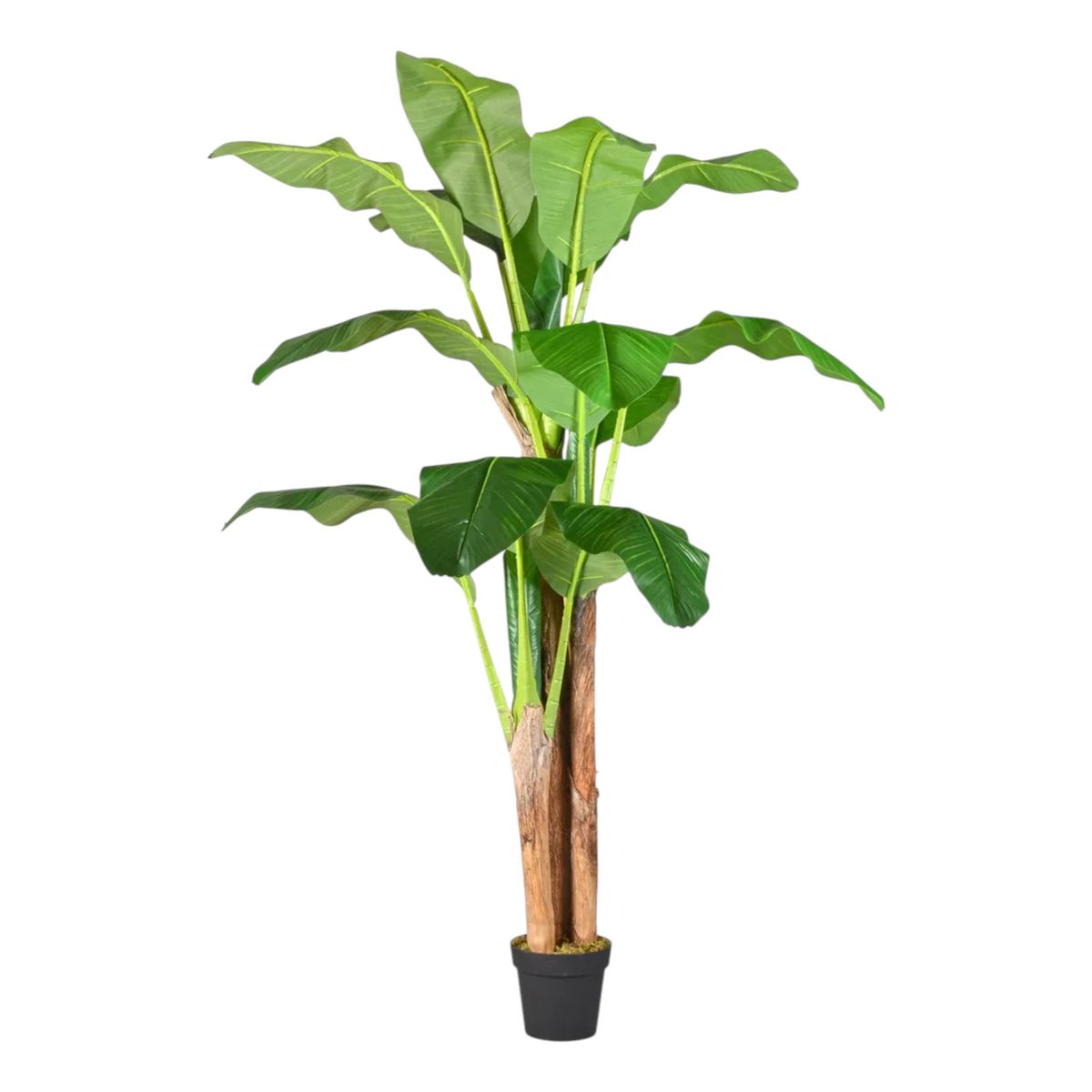 GENERICO - Planta Artificial Banano 210 Cm, Luxury Calidad Premiun Lujo