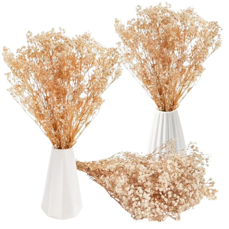 GENERICO - Flores Ramas Secas Naturales Decorativa Gypsophila Frondosa