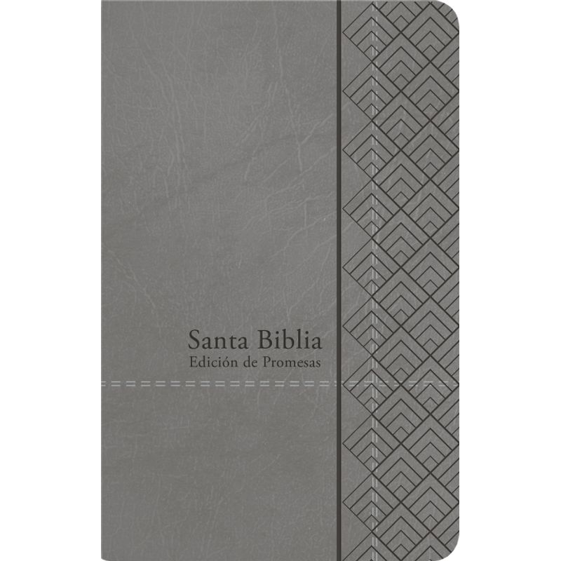 UNILIT - BIBLIA DE PROMESAS RVR1960 TAMAÑO MANUAL IMITACIÓN PIEL GRIS