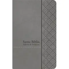 UNILIT - BIBLIA DE PROMESAS RVR1960 TAMAÑO MANUAL IMITACIÓN PIEL GRIS