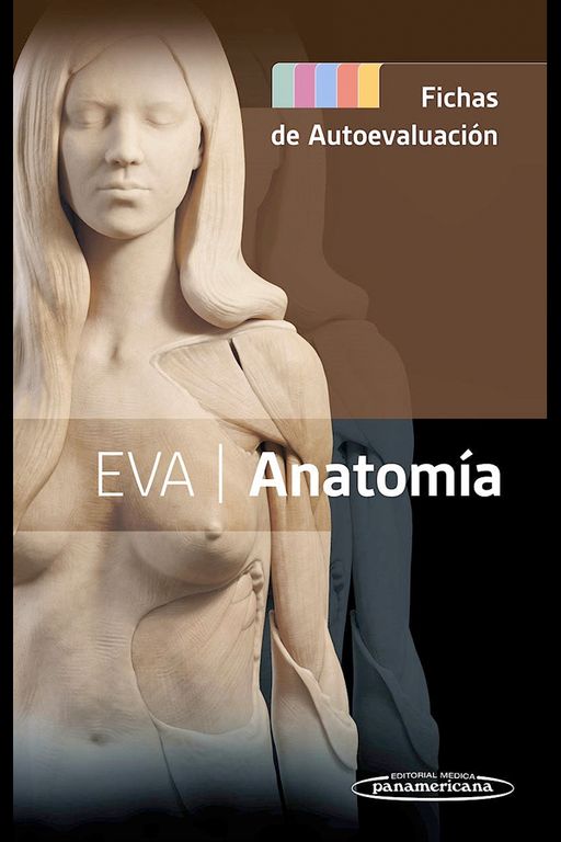 Libro Eva. Anatomia Fichas De Autoevaluacion
