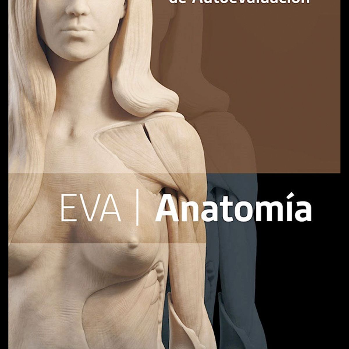 EDITORIAL MEDITERRANEO - Libro Eva. Anatomia Fichas De Autoevaluacion