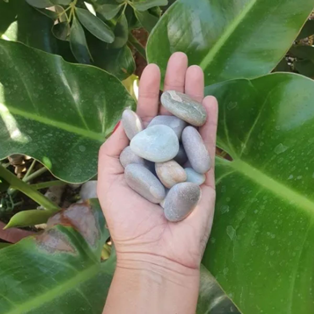 GENERICO - Piedra Zen Hindú Verde Claro 1kg
