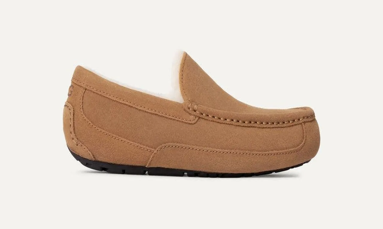 Pantufla Hombre Ascot Café