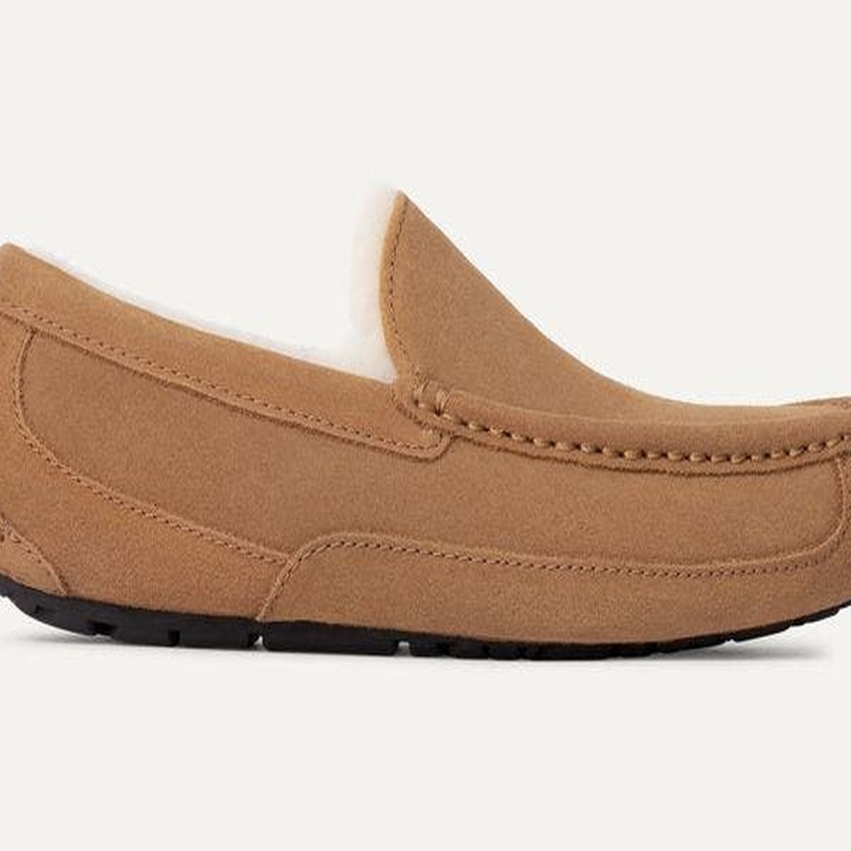 UGG - Pantufla Hombre UGG Ascot Café