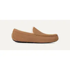 UGG - Pantufla Hombre Ascot Café