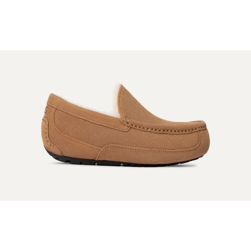 UGG - Pantufla Hombre Ascot Café UGG