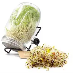 GENERICO - Frasco germinador 500cc con soporte
