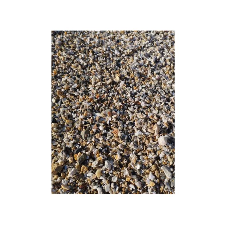 GENERICO - Conchuela Mix Natural Para Acuario. Tamaño Arroz. 100 Gramos