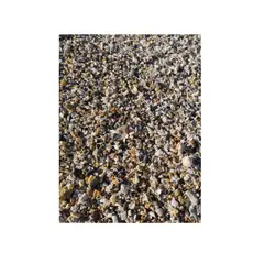 GENERICO - Conchuela Mix. Tamaño Arroz. 100 Gramos