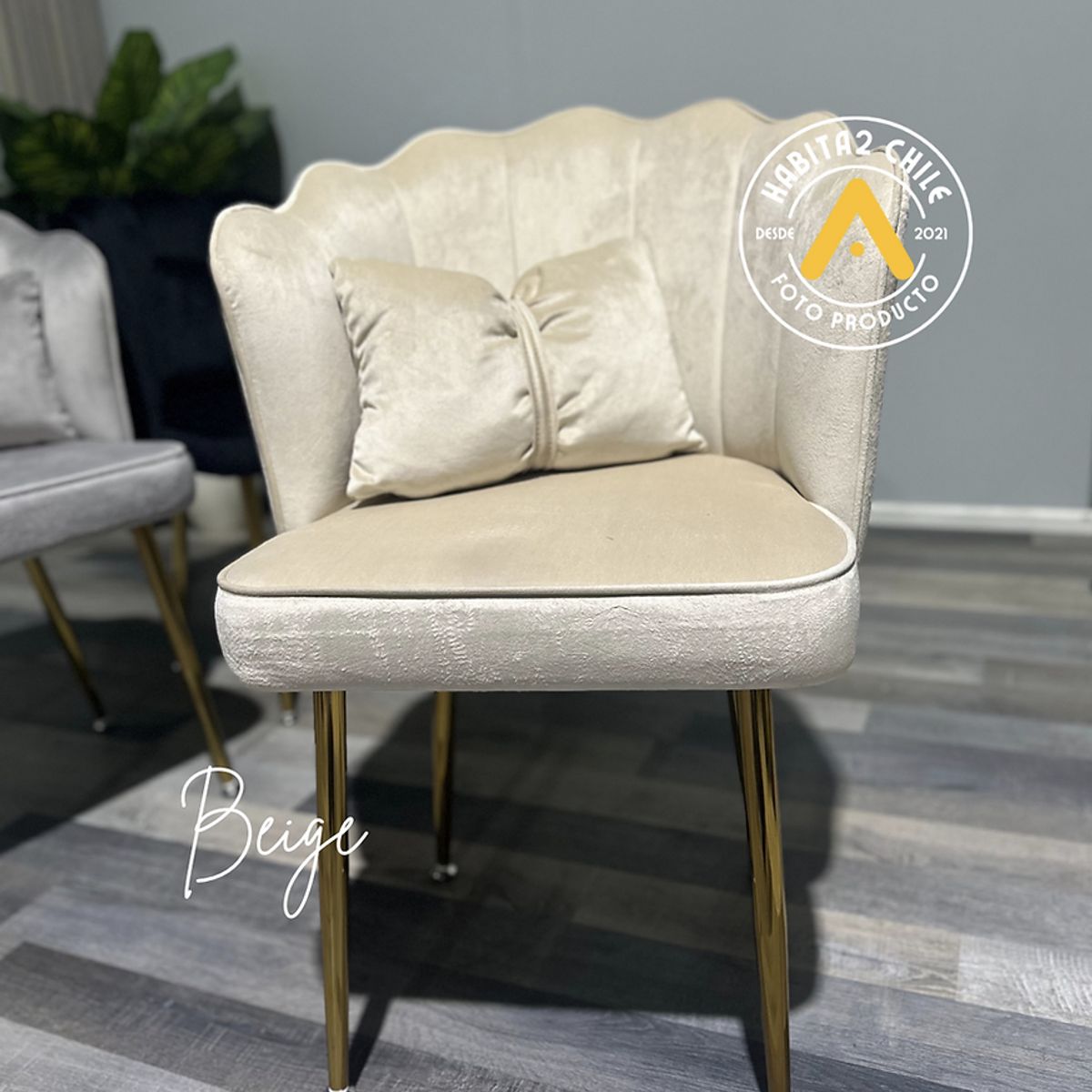 HABITA2 CHILE - Pack de 2 Silla Sitial Fancy terciopelo base Dorada - Beige
