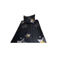 SABANA PLAZA Y MEDIA ESTRELLA