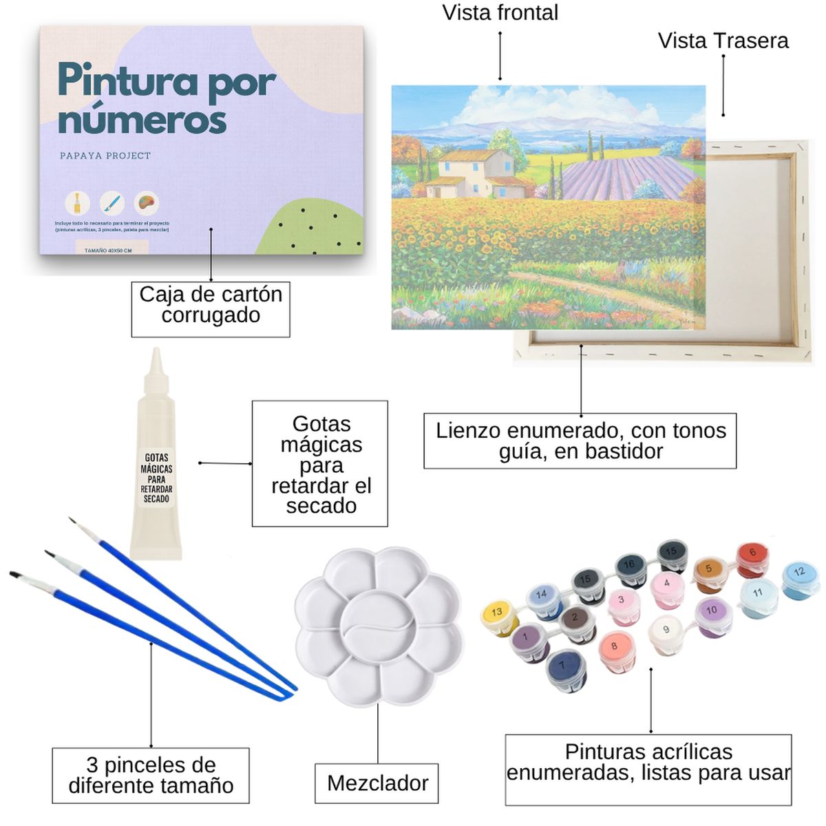 GENERICO - Pintura con números en bastidor 40x50 - Paisaje campestre - Painting by numbers