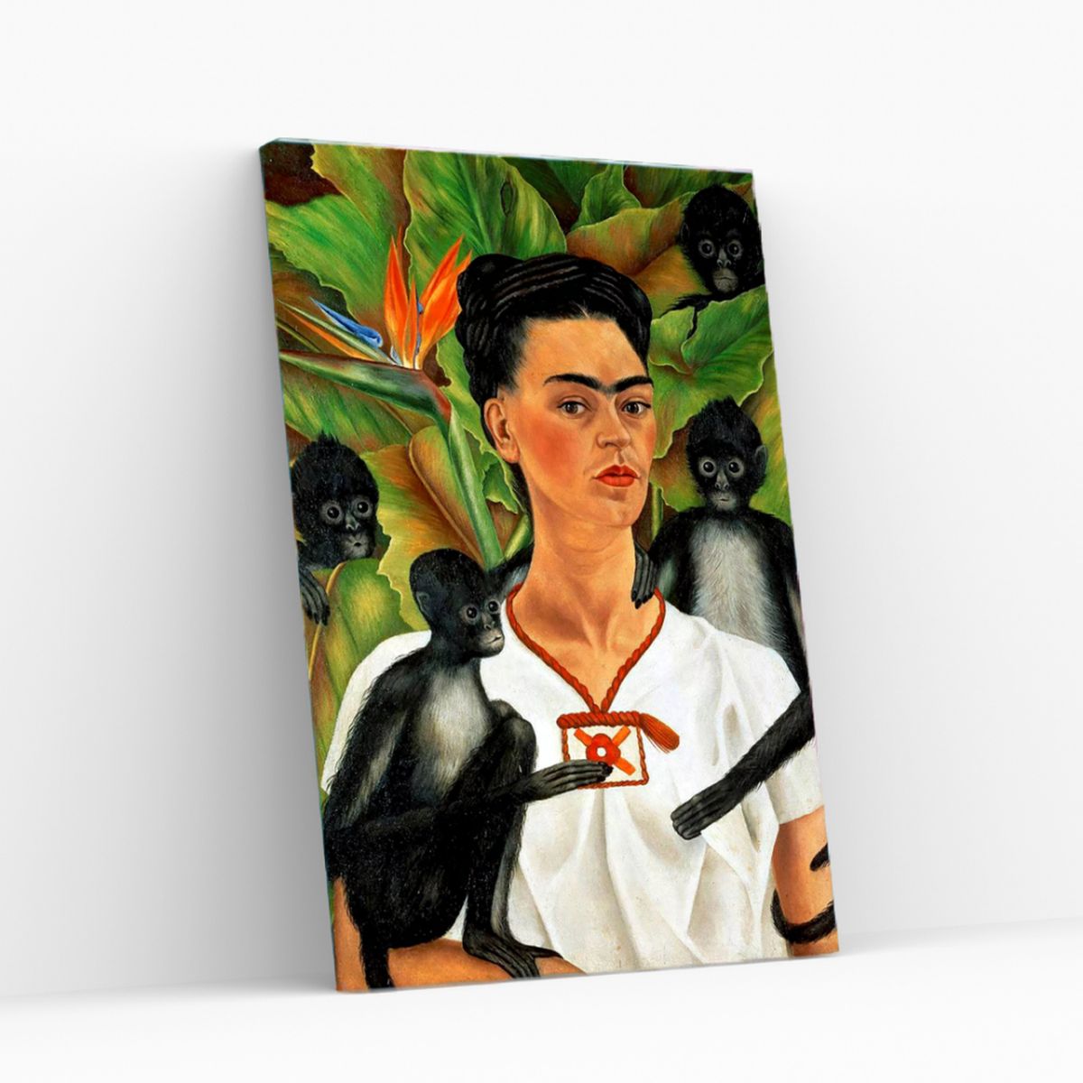 GENERICO - Pintura con números en bastidor 25X35 - Frida con mono - Painting by numbers
