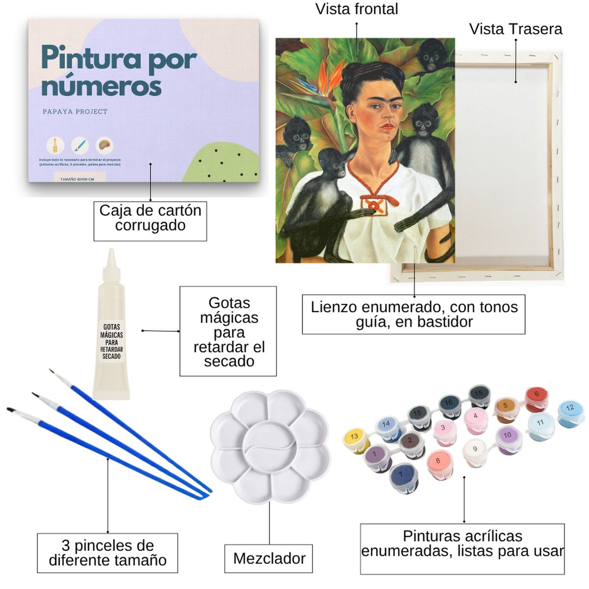 GENERICO - Pintura con números en bastidor 25X35 - Frida con mono - Painting by numbers