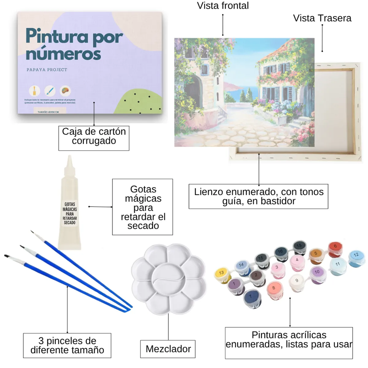GENERICO - Pintura con números en bastidor 40x50 - Camino de piedras - Painting by numbers