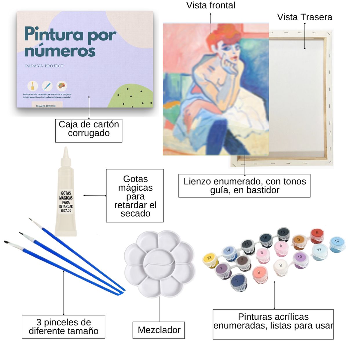 GENERICO - Pintura con números en bastidor 25X35 - Mujer en camisa - Painting by numbers