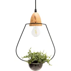 HOME NEAT - Lámpara Colgante de Madera de Planta Moderna E27 - Oval Negro…