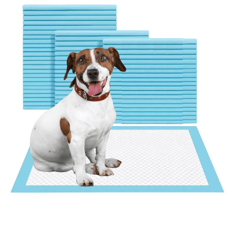 GENERICO - Sabanilla para perros entrenamiento 45x33 cm 300 unds