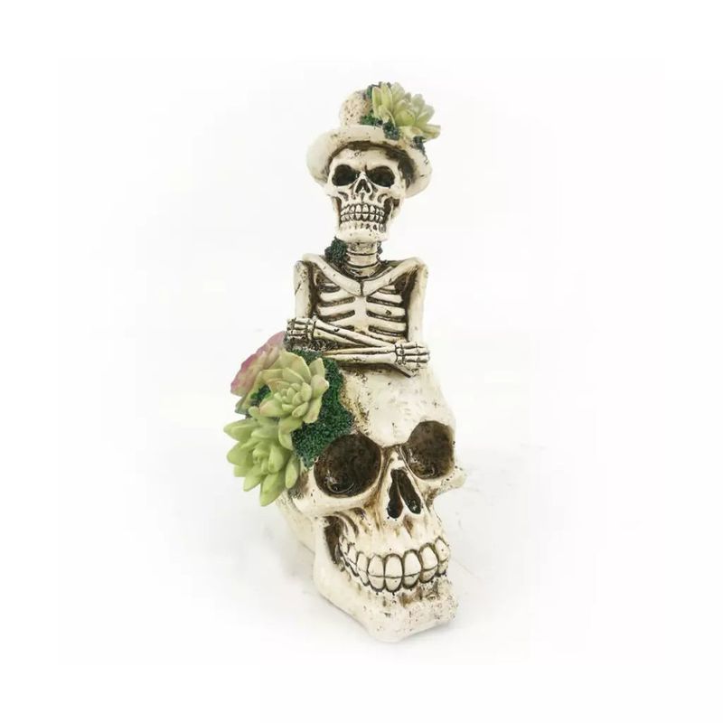 FRANK & MORTIS - Adorno Calavera Suculenta Frank & Mortis