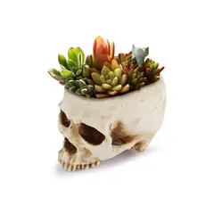 FRANK & MORTIS - Macetero de Calavera para Suculentas