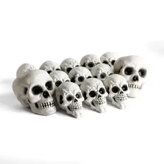 FRANK & MORTIS - Pack 12 Calaveras