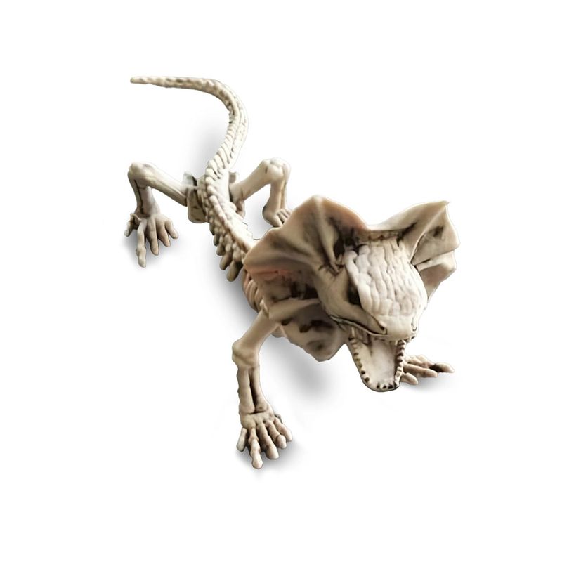 FRANK & MORTIS - Esqueleto Lagarto Frank & Mortis