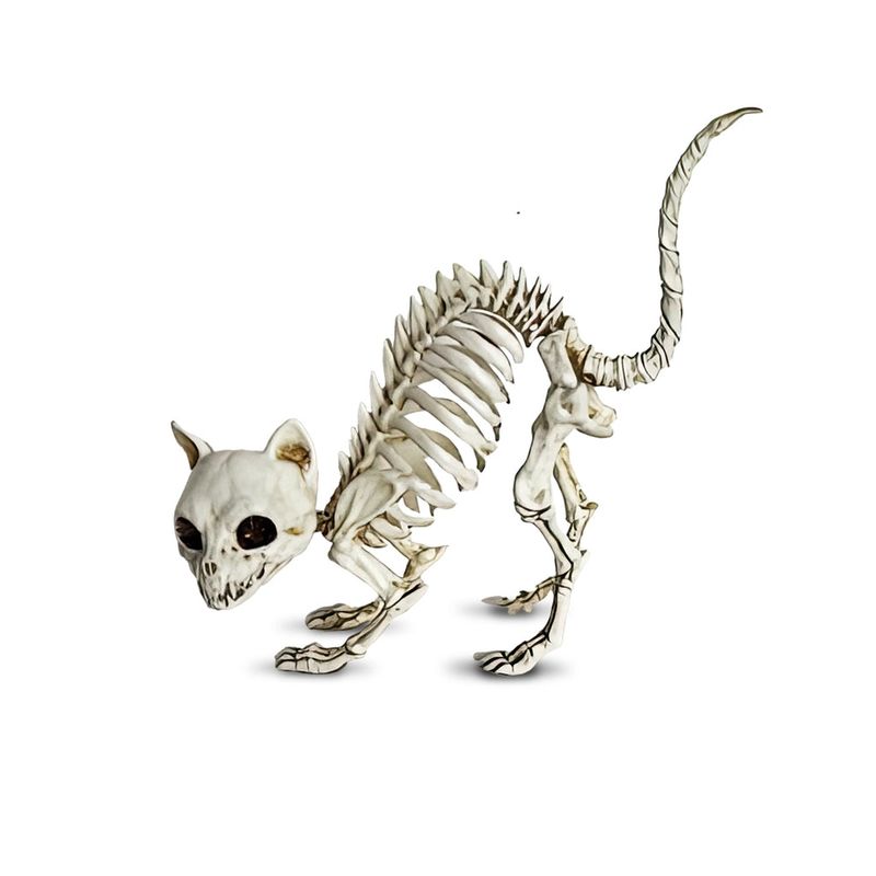 FRANK & MORTIS - Esqueleto Gatito Frank & Mortis