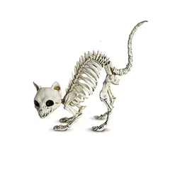 FRANK & MORTIS - Esqueleto Gatito