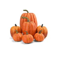 FRANK & MORTIS - Set de 7 Calabazas