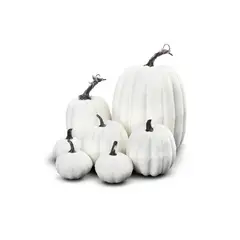 FRANK & MORTIS - Set de 7 Calabazas Blancas