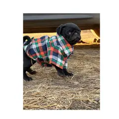 GENERICO - Camisa leñadora para perrito pequeño Talla L