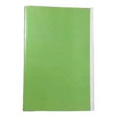 GENERICO - Carpeta Verde Claro con Acoclip para Organización Práctica