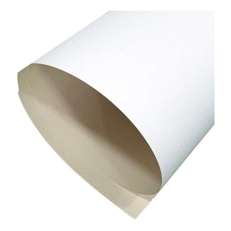 GENERICO - Pack de 10 Pliegos de Cartón Delgado Color Blanco Ideal