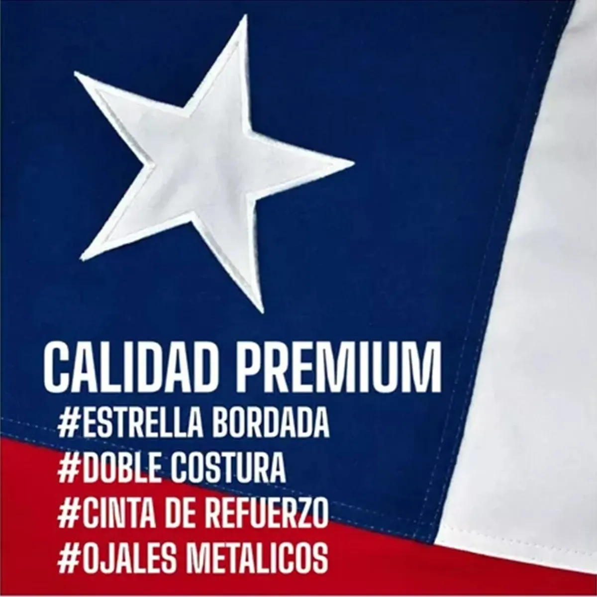 GENERICO - Bandera Chile Chilena Banderas Bordada Reforzada 120 X 80 Cm