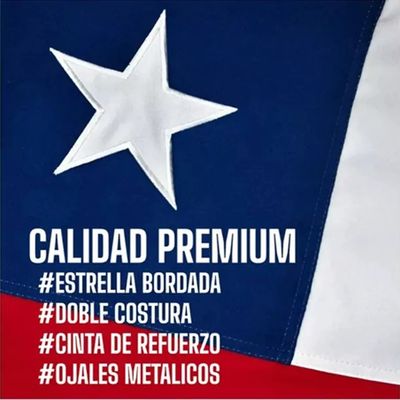 Imagen 2 del producto Bandera Chile Chilena Banderas Bordada Reforzada 120 X 80 Cm