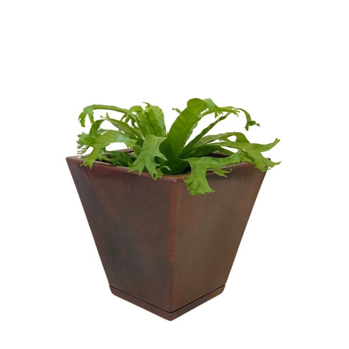 GENERICO - MACETERO FLORIDIS CAFE EFECTO MARMOL ZURIQUE 34CM ALTO CON PLATO