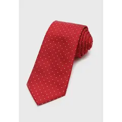 ARROW - Corbata Fantasía
