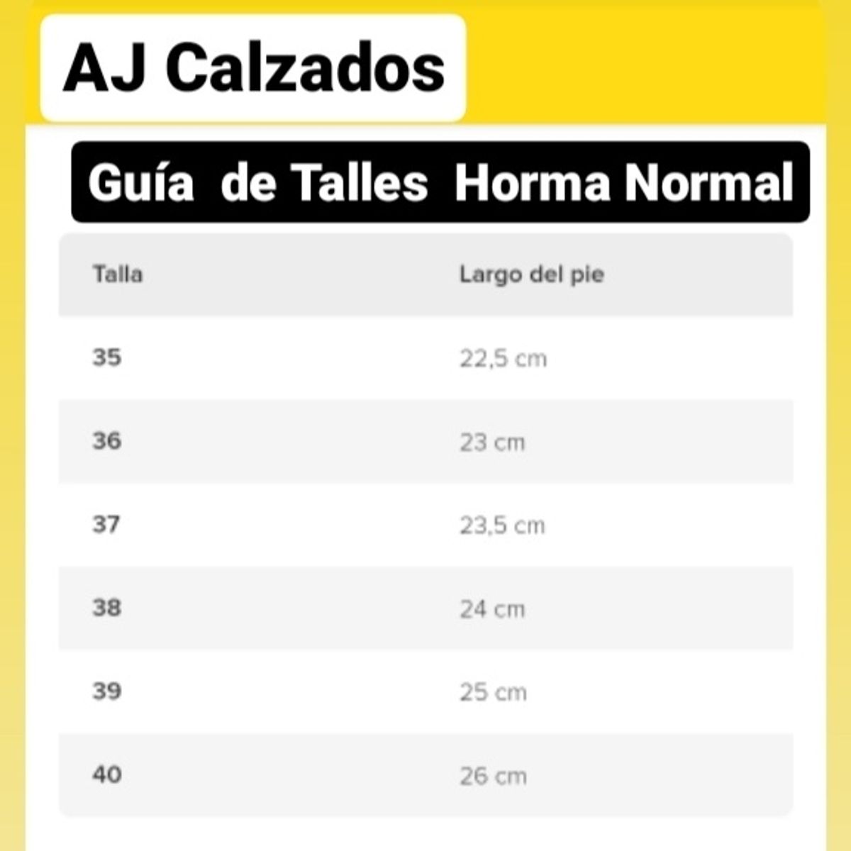 DINASTELLA - Botin  para Dama  con Tachas  M465