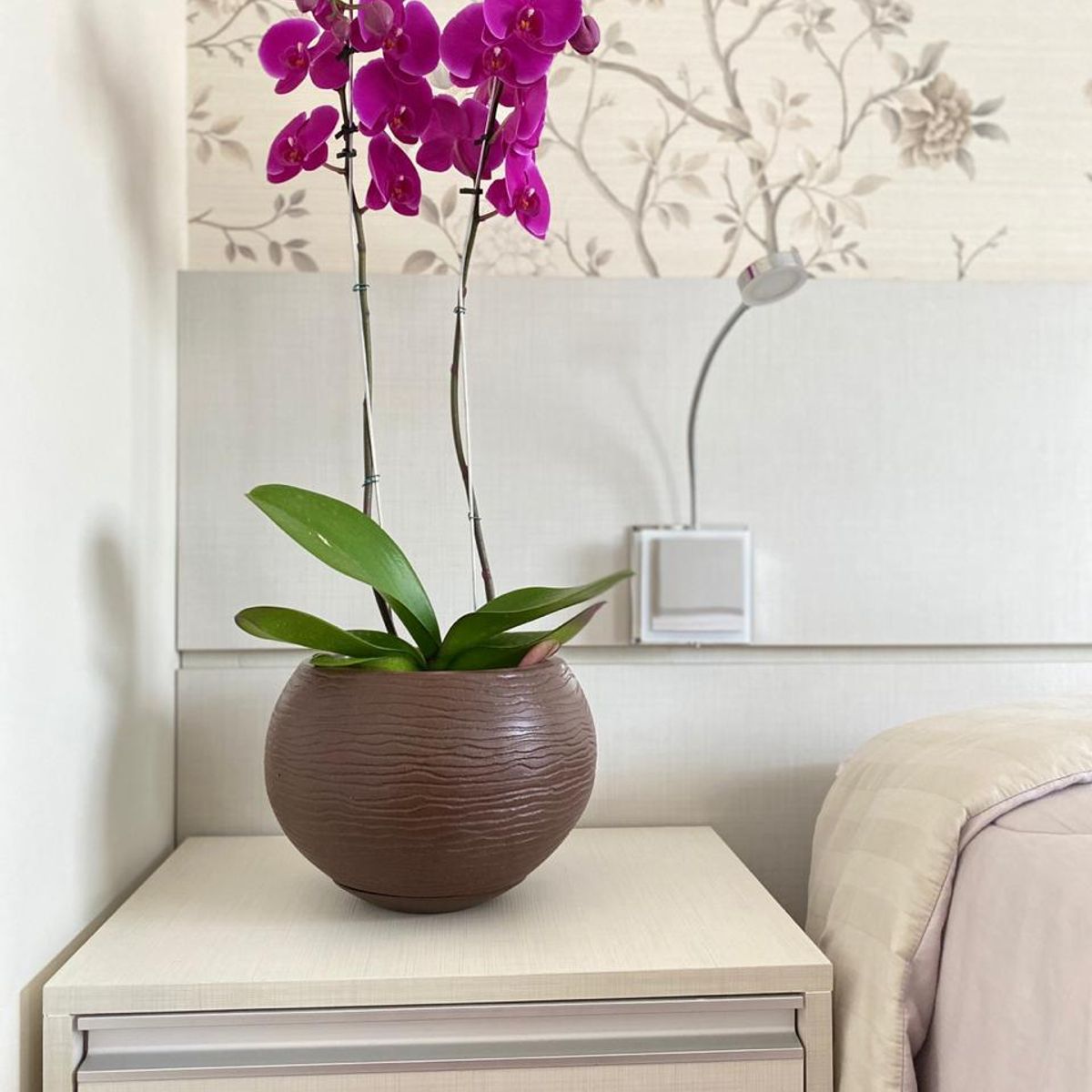 FLORIDIS - MACETERO FLORIDIS MARRON FLORENCIA 19CM ALTO CON PLATO